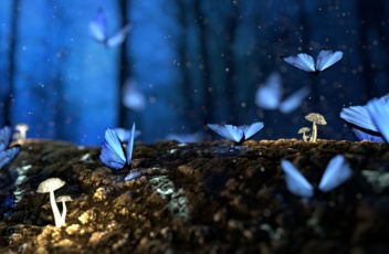 beautiful-blur-bright-326055